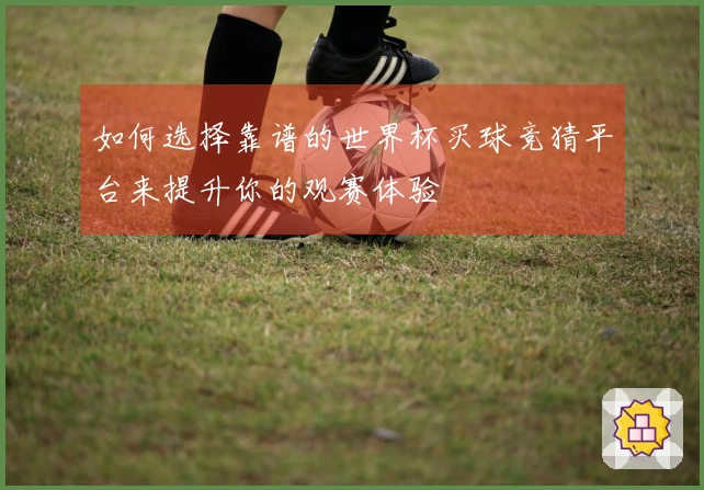 如何选择靠谱的世界杯买球竞猜平台来提升你的观赛体验