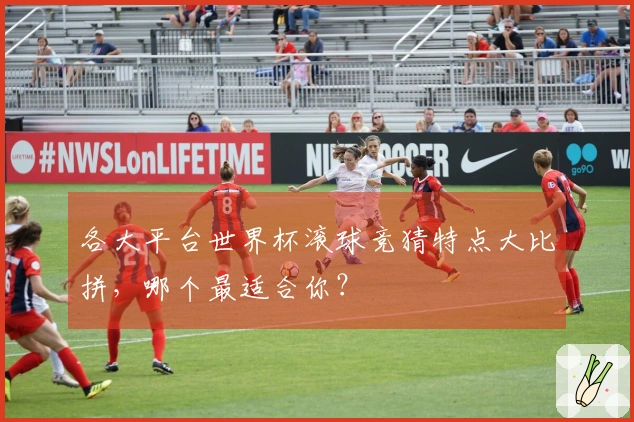 各大平台世界杯滚球竞猜特点大比拼，哪个最适合你？