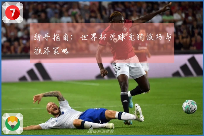 新手指南：世界杯买球竞猜技巧与推荐策略