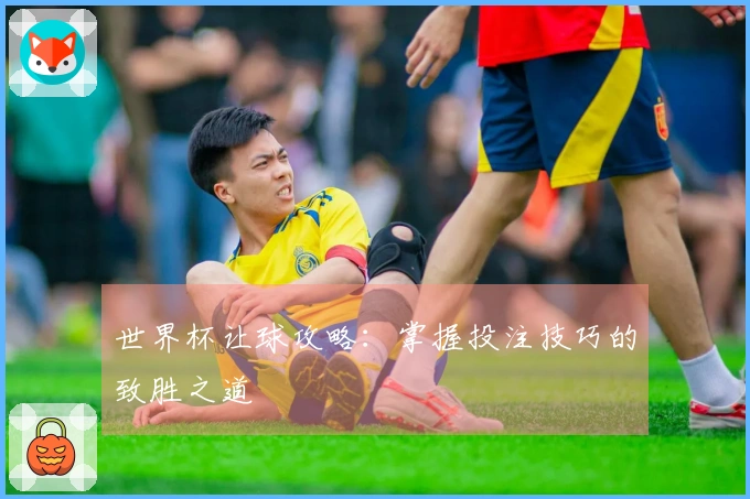 世界杯让球攻略：掌握投注技巧的致胜之道