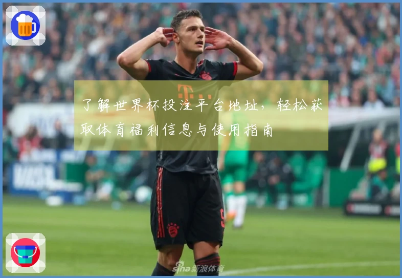 了解世界杯投注平台地址,轻松获取体育福利信息与使用指南
