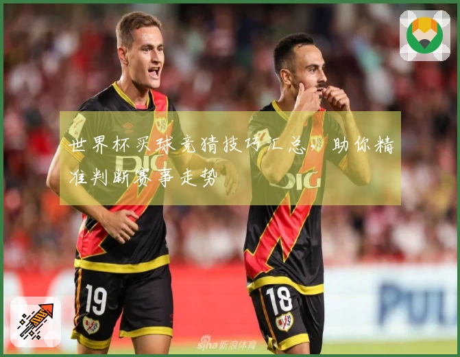 世界杯买球竞猜技巧汇总，助你精准判断赛事走势