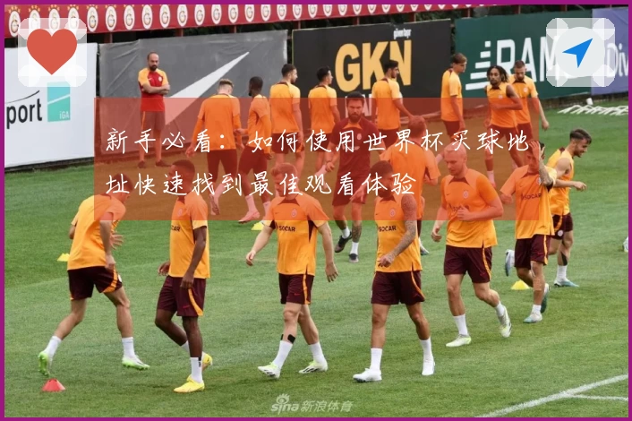 新手必看：如何使用世界杯买球地址快速找到最佳观看体验