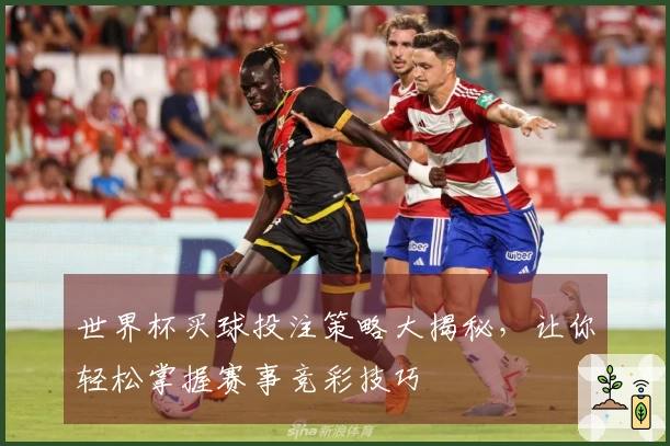 世界杯买球投注策略大揭秘，让你轻松掌握赛事竞彩技巧