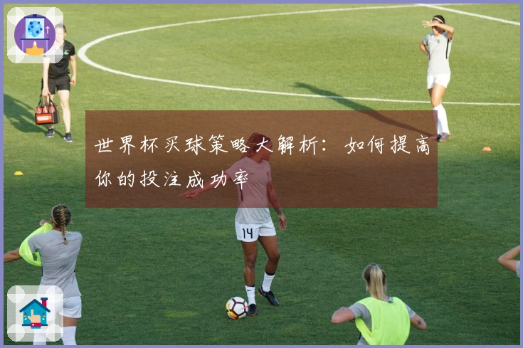 世界杯买球策略大解析：如何提高你的投注成功率