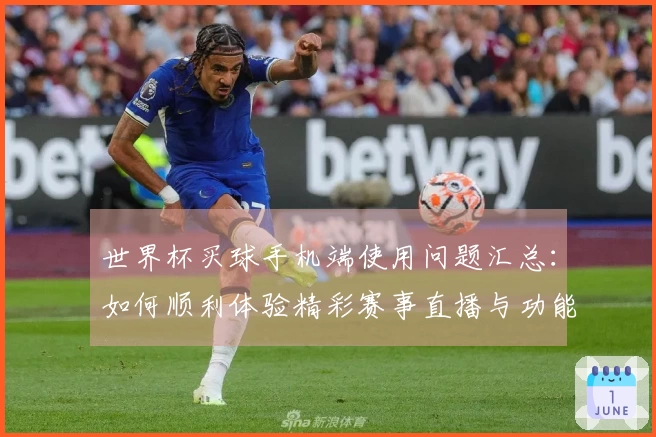 世界杯买球手机端使用问题汇总：如何顺利体验精彩赛事直播与功能介绍