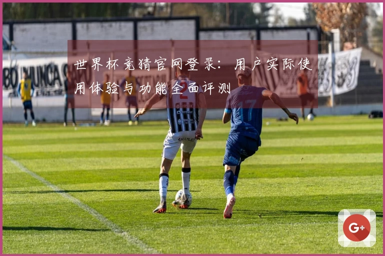 世界杯竞猜官网登录：用户实际使用体验与功能全面评测