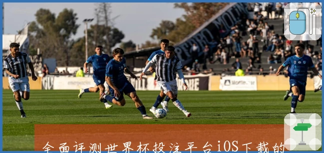 全面评测世界杯投注平台iOS下载的功能与使用体验分析