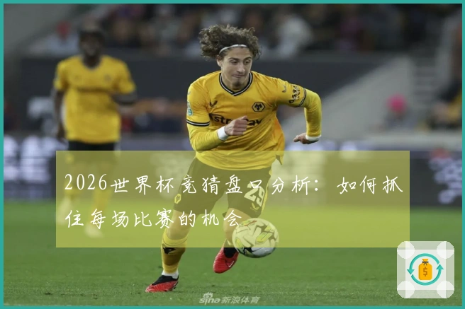 2026世界杯竞猜盘口分析：如何抓住每场比赛的机会