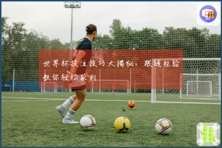 世界杯投注技巧大揭秘，跟随经验教你轻松获利