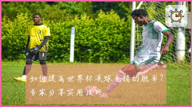 如何提高世界杯滚球竞猜的胜率？专家分享实用技巧