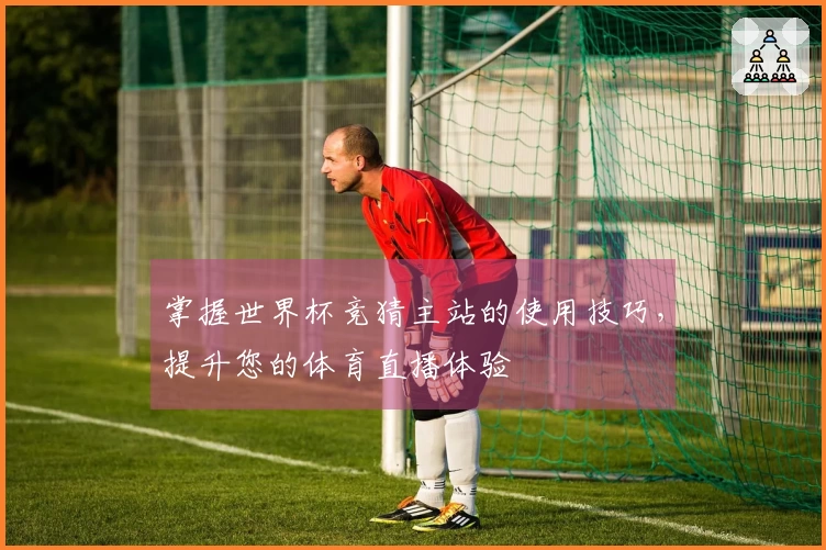 掌握世界杯竞猜主站的使用技巧,提升您的体育直播体验