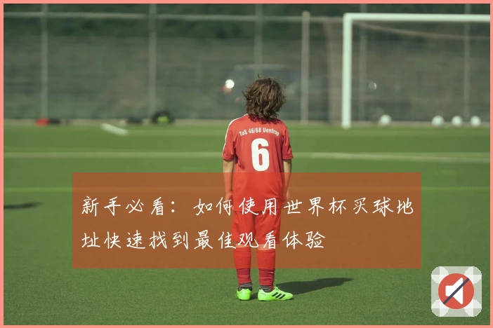 新手必看：如何使用世界杯买球地址快速找到最佳观看体验