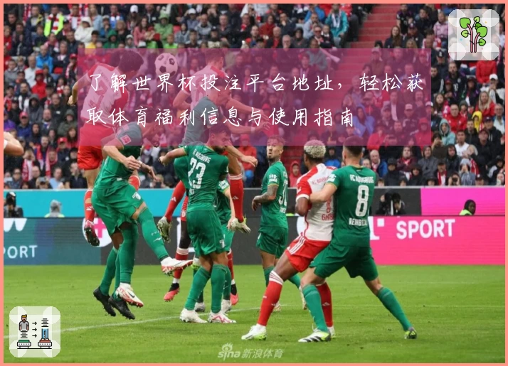 了解世界杯投注平台地址，轻松获取体育福利信息与使用指南